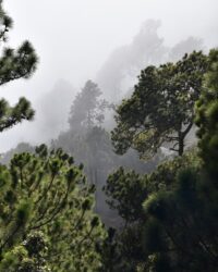 acatenango hike