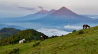 pacaya volcano