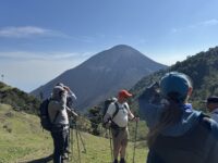 pacaya volcano